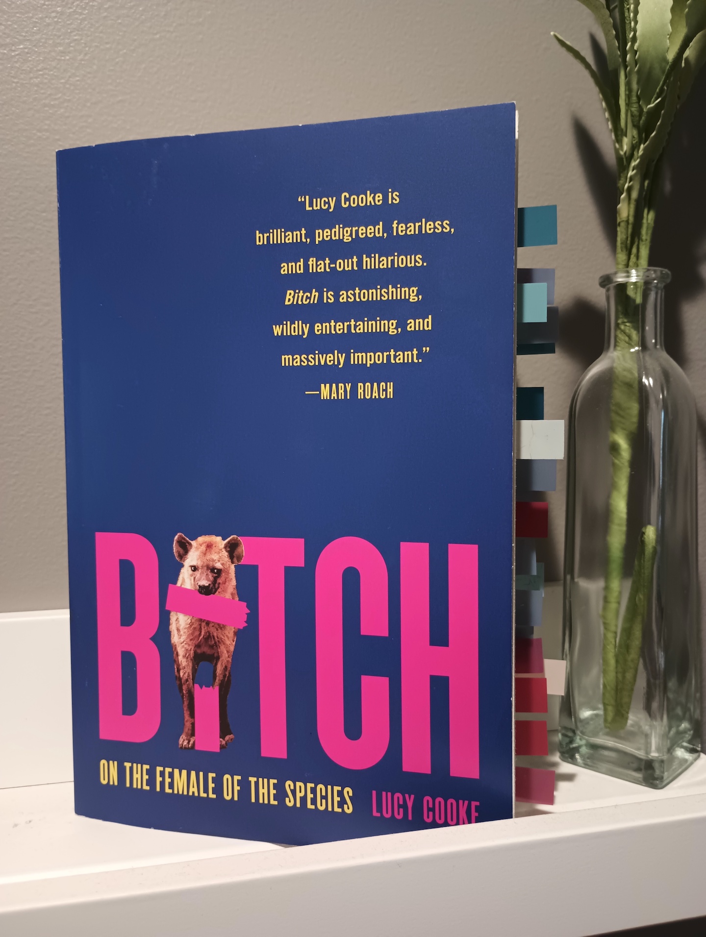 Image of the book "Bitch" on a shelf. Pages are marked with sticky tabs where there's feminist excellence